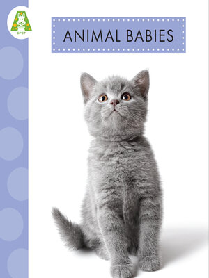 cover image of Animal Babies